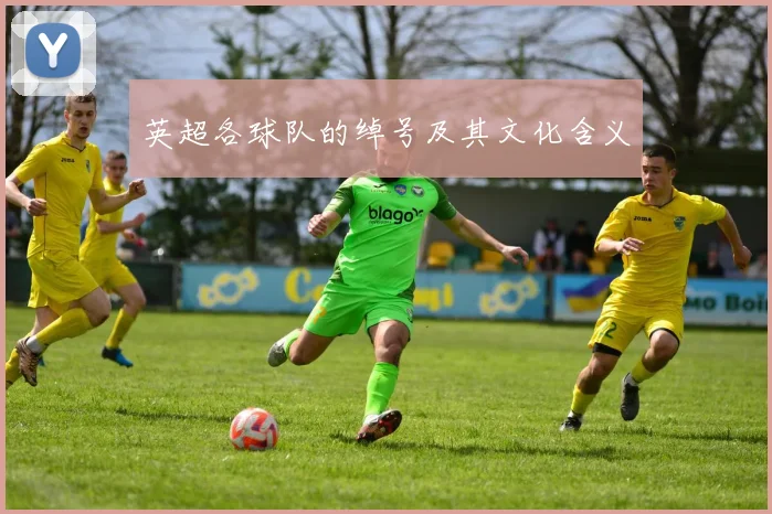 英超各球队的绰号及其文化含义