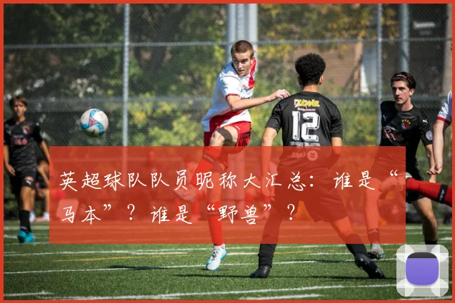 英超球队队员昵称大汇总:谁是“马本”?谁是“野兽”?